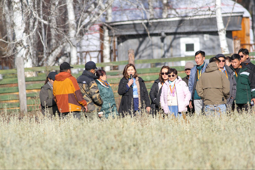 90 гаруй ойн мэргэжилтнүүд Хангайн бүсийн ойжуулалтын туршлага судаллаа